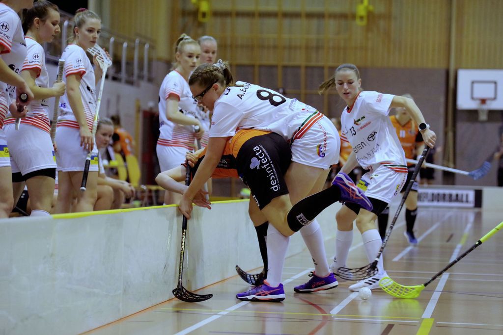 Freiburger Nachrichten - Aldo Ellena